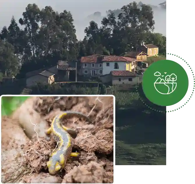 rales-hub-villaviciosa