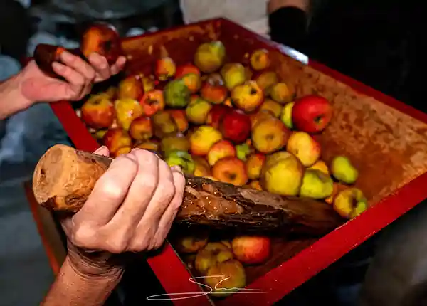 RALES Hub taller escanciado sidra tradicion villlaciosa comarca sidra