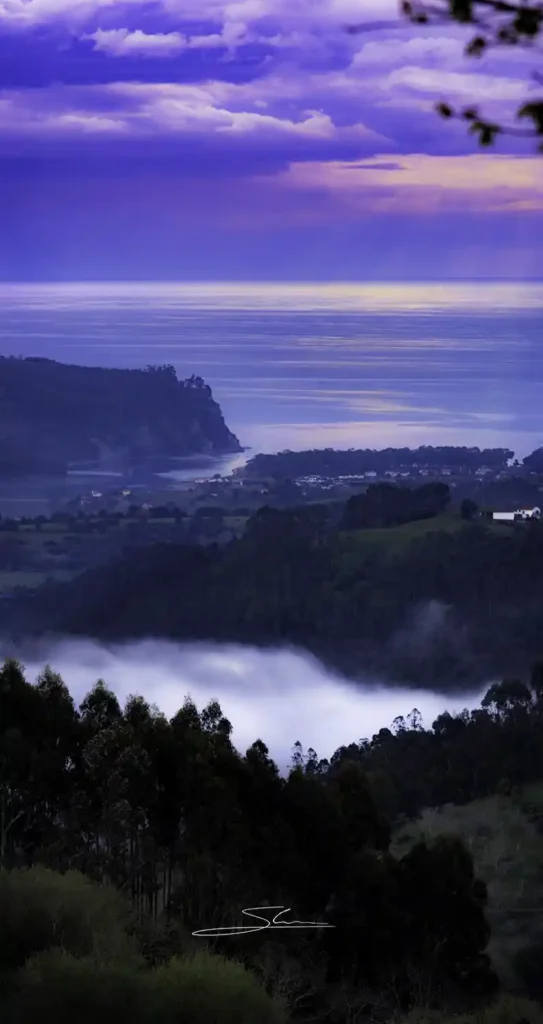 REDNA 2025 editada sergio camporota